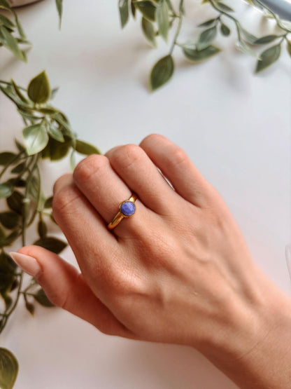 Hand mit einem Lapislazuli-Ring Amaya, umgeben von grünen Blättern.